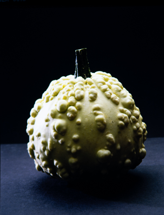 minerva_deak_f_c3_s2_58_tökök-010