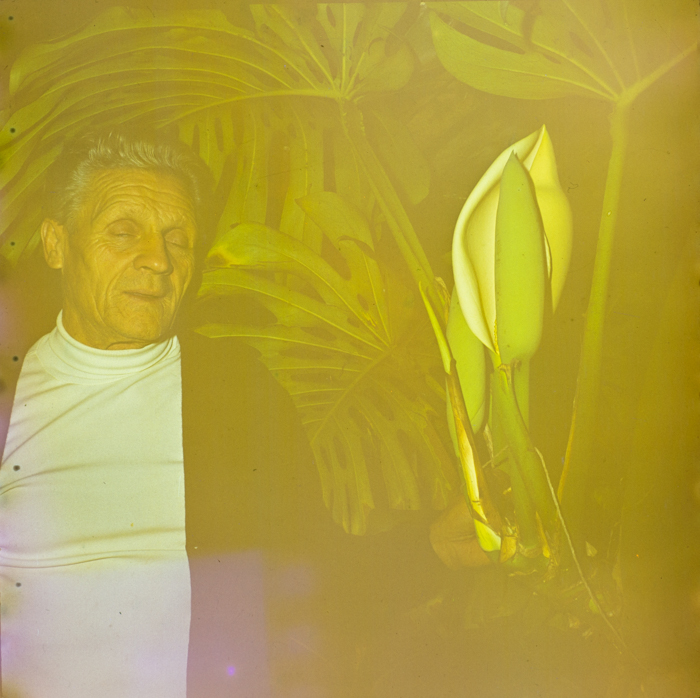 minerva_deak_f_c3_s2_60_vida_géza-001