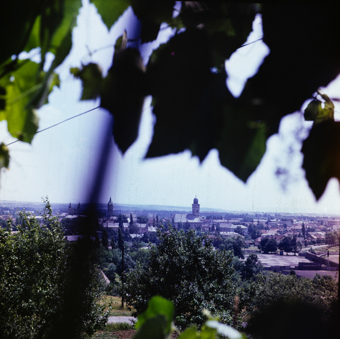 minerva_deak_f_c3_s2_60_vida_géza-014