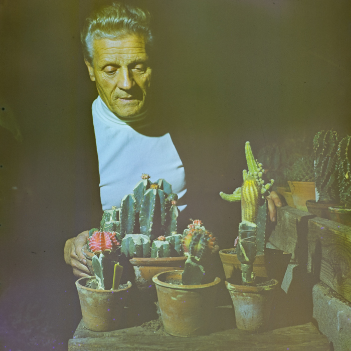 minerva_deak_f_c3_s2_60_vida_géza-018