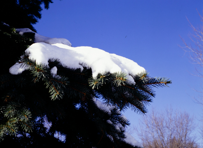 minerva_deak_f_c3_s2_61-002