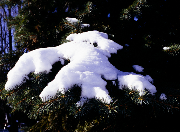 minerva_deak_f_c3_s2_61-003