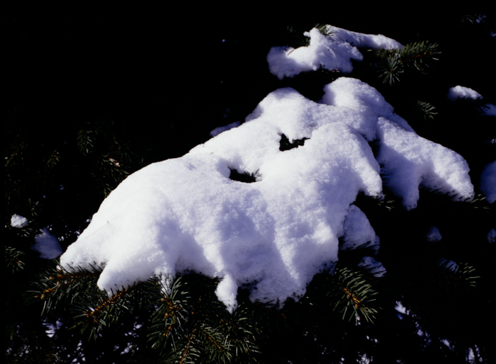 minerva_deak_f_c3_s2_61-004