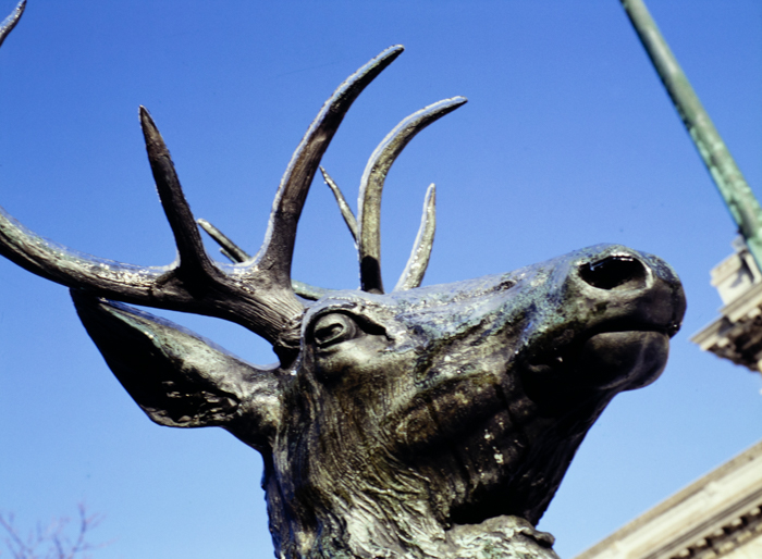 minerva_deak_f_c3_s2_61-009