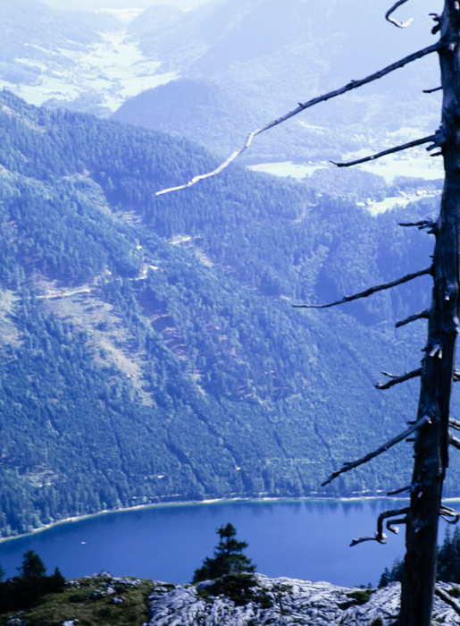 minerva_deak_f_c3_s2_64_1994-007