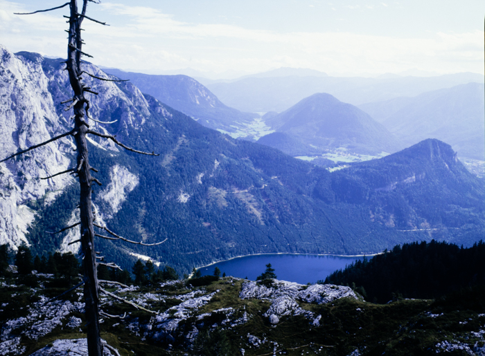 minerva_deak_f_c3_s2_64_1994-008