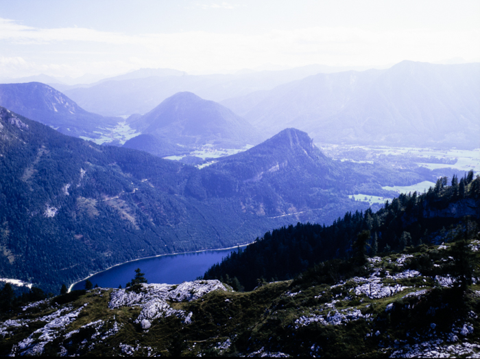 minerva_deak_f_c3_s2_64_1994-012