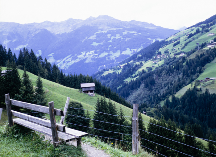 minerva_deak_f_c3_s3_69-004