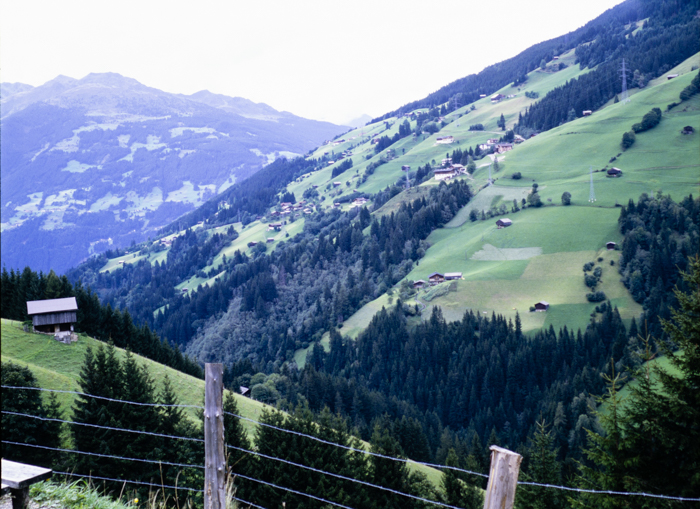 minerva_deak_f_c3_s3_69-005