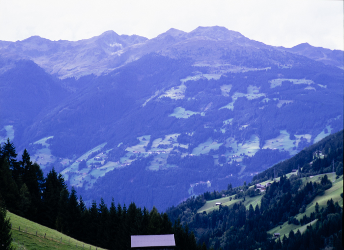 minerva_deak_f_c3_s3_69-012