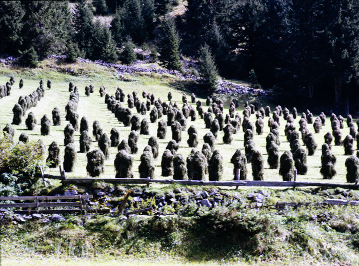 minerva_deak_f_c3_s3_71-001