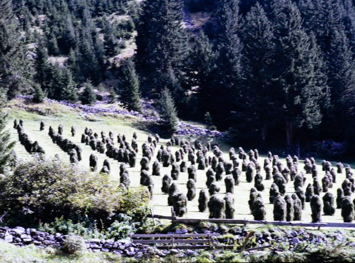 minerva_deak_f_c3_s3_71-002