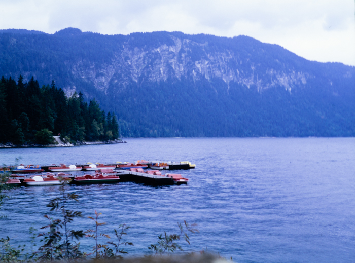 minerva_deak_f_c3_s3_71-013