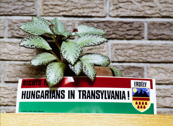 minerva_deak_f_c3_s3_73-007