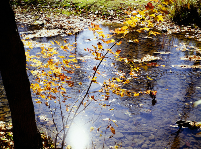 minerva_deak_f_c3_s3_74-001