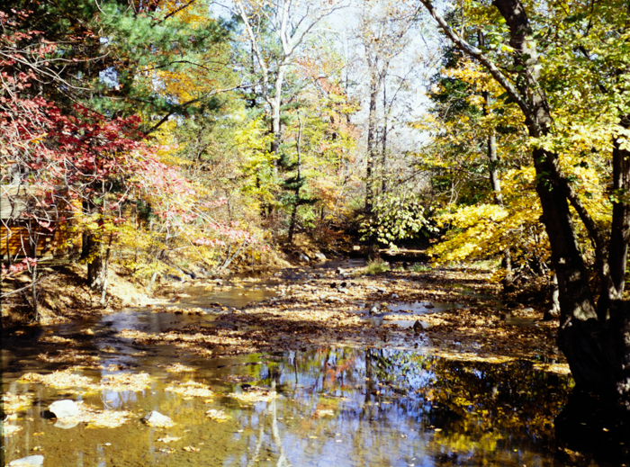 minerva_deak_f_c3_s3_74-002