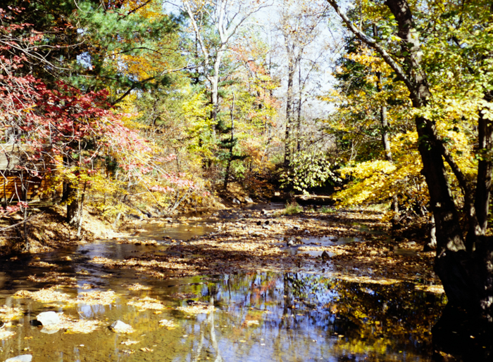 minerva_deak_f_c3_s3_74-003