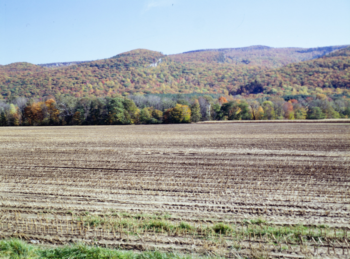 minerva_deak_f_c3_s3_74-006