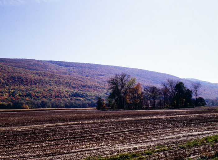 minerva_deak_f_c3_s3_74-008