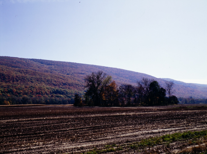 minerva_deak_f_c3_s3_74-009