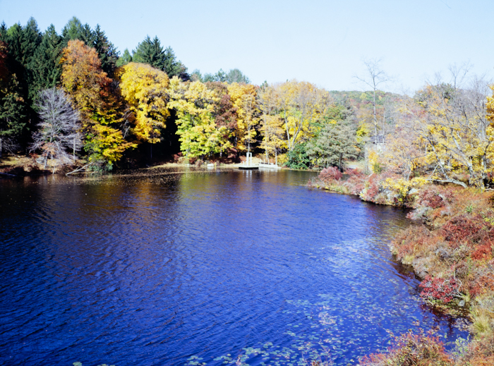 minerva_deak_f_c3_s3_74-012