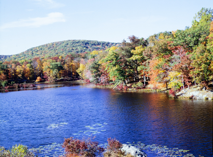 minerva_deak_f_c3_s3_74-013