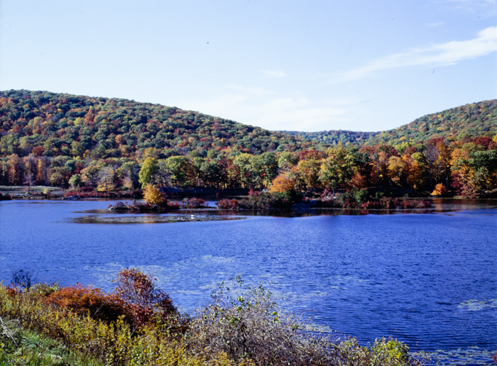 minerva_deak_f_c3_s3_74-014