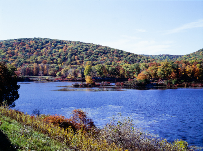 minerva_deak_f_c3_s3_74-015