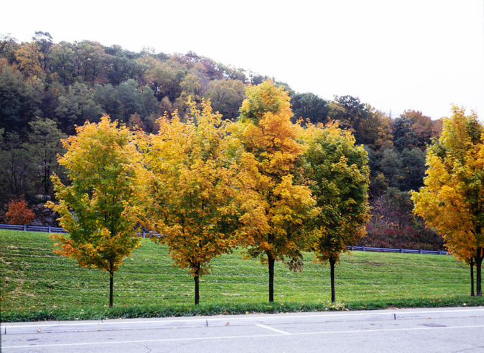 minerva_deak_f_c3_s3_75-004