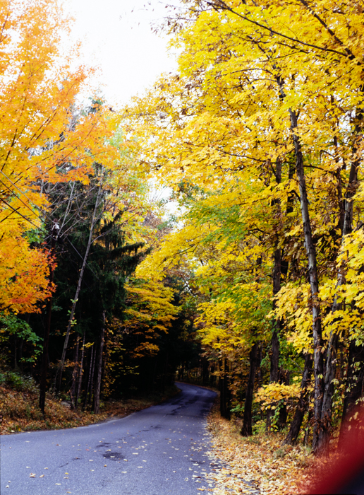 minerva_deak_f_c3_s3_75-008