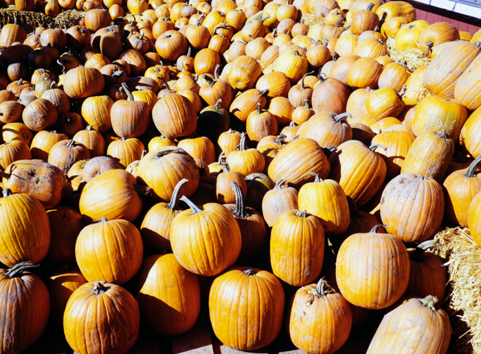 minerva_deak_f_c3_s3_75-010