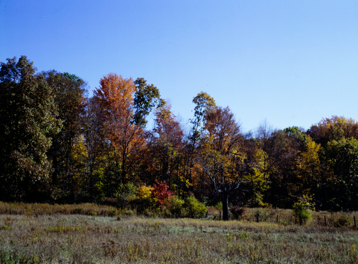 minerva_deak_f_c3_s3_75-012