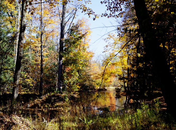 minerva_deak_f_c3_s3_75-013