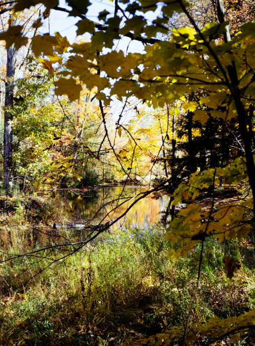 minerva_deak_f_c3_s3_75-014