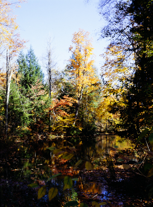 minerva_deak_f_c3_s3_75-015