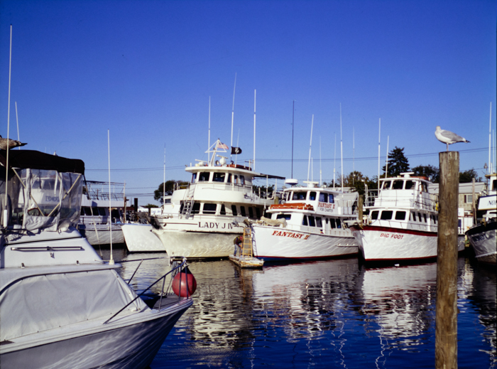 minerva_deak_f_c3_s3_77-001