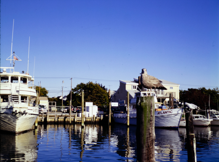 minerva_deak_f_c3_s3_77-002