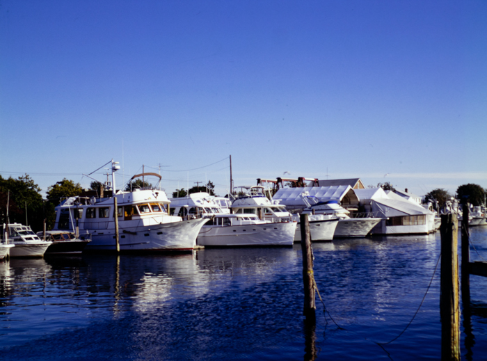 minerva_deak_f_c3_s3_77-003