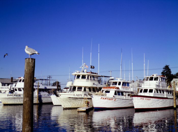 minerva_deak_f_c3_s3_77-004