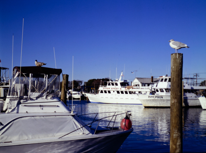 minerva_deak_f_c3_s3_77-005