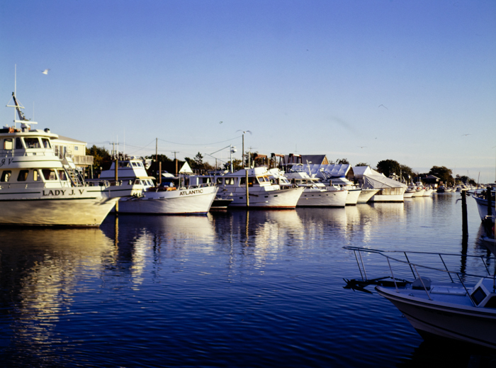 minerva_deak_f_c3_s3_77-013