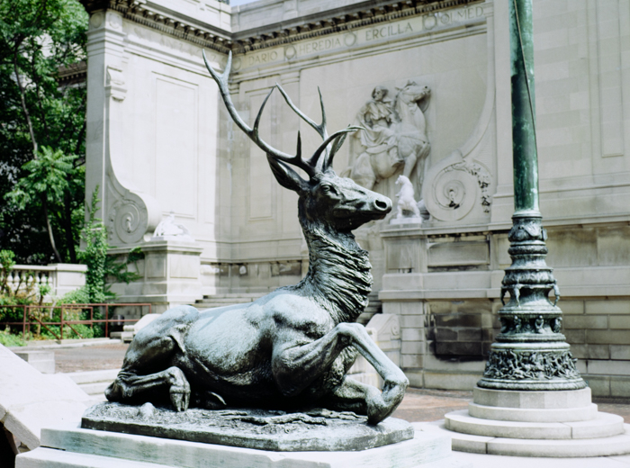 minerva_deak_f_c3_s3_81-001