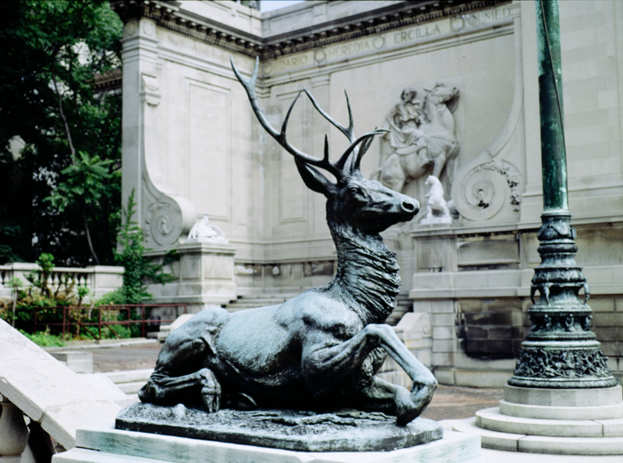 minerva_deak_f_c3_s3_81-002