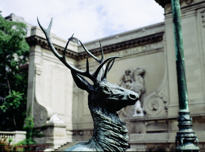 minerva_deak_f_c3_s3_81-004