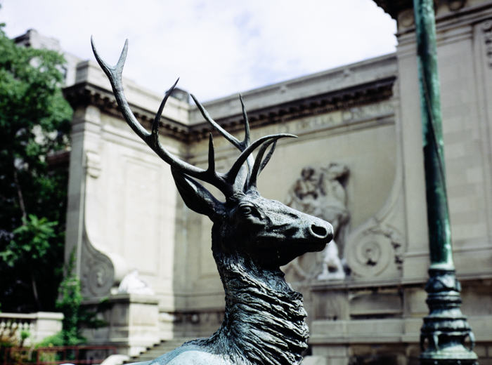 minerva_deak_f_c3_s3_81-005