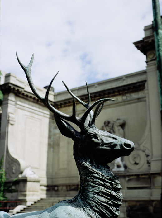 minerva_deak_f_c3_s3_81-006