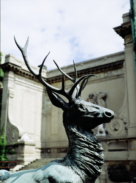 minerva_deak_f_c3_s3_81-007