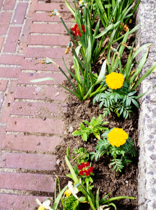 minerva_deak_f_c3_s3_82-014