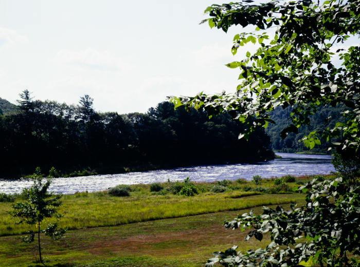 minerva_deak_f_c3_s3_84_1993-001