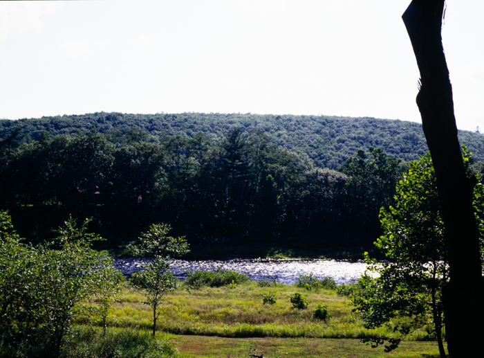 minerva_deak_f_c3_s3_84_1993-002